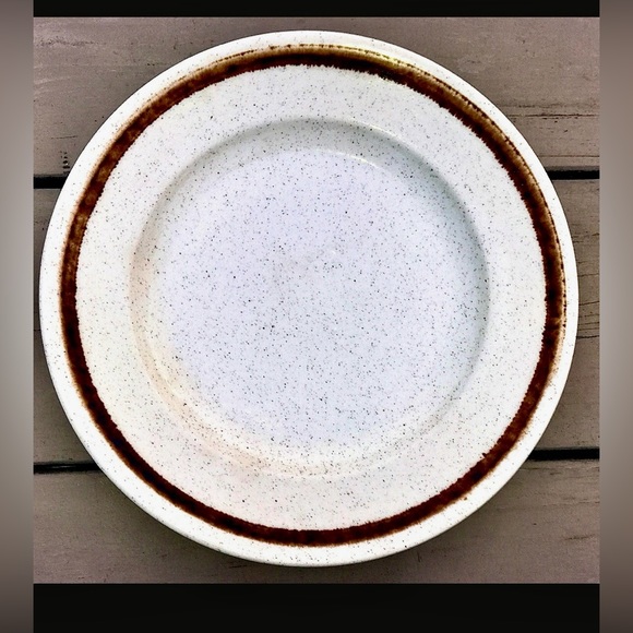 Mid Century Vtg Discontinued Homer Laughlin Speckled Stoneware Plate - Picture 1 of 8